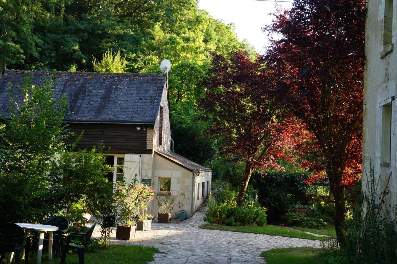 Le Moulin De La Planche Bed & Breakfast Cerelles Exterior photo