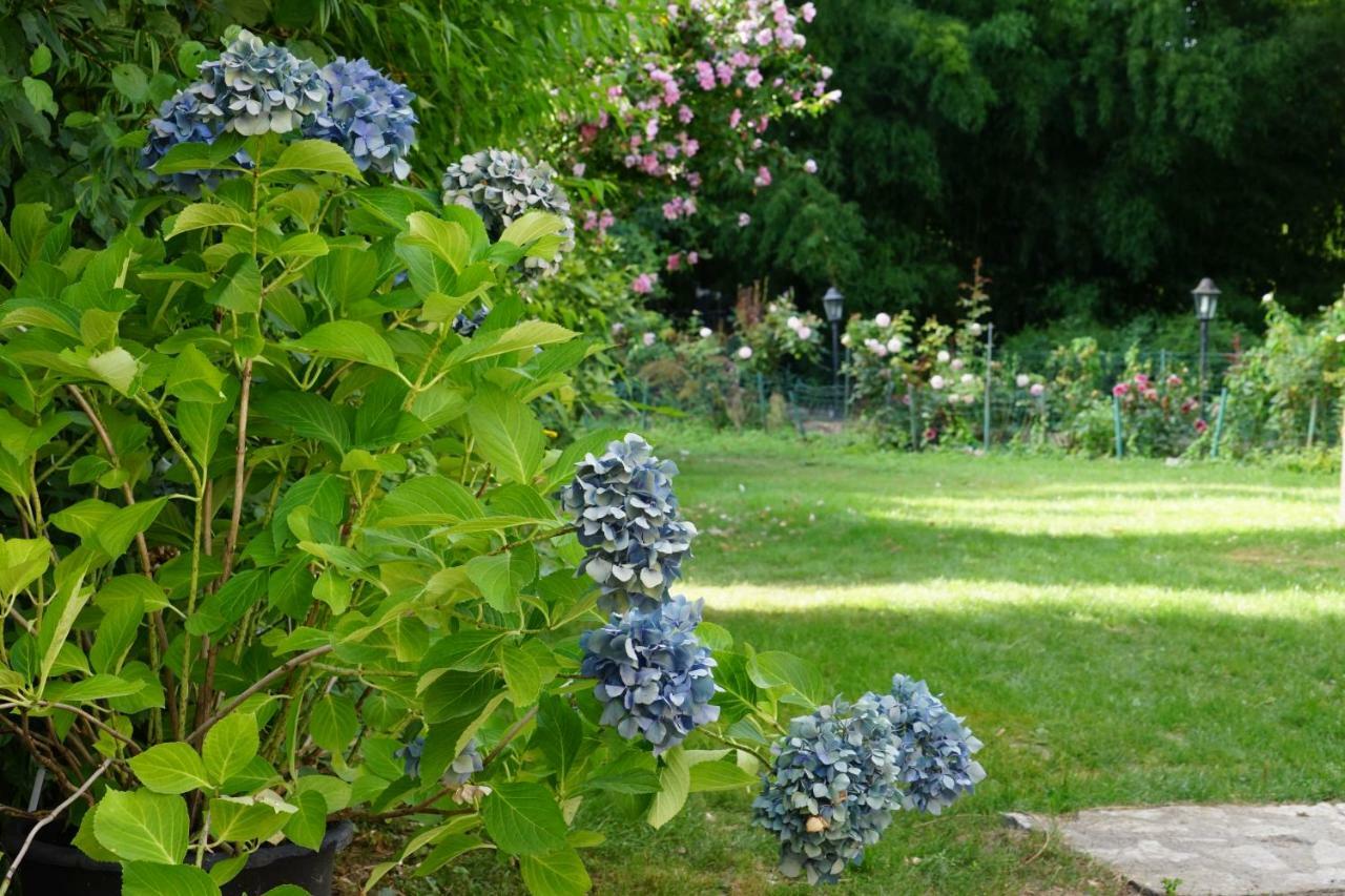 Le Moulin De La Planche Bed & Breakfast Cerelles Exterior photo