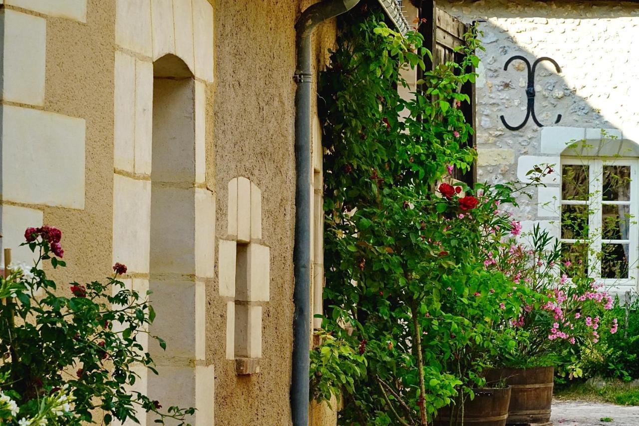 Le Moulin De La Planche Bed & Breakfast Cerelles Exterior photo