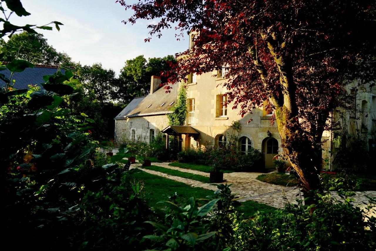 Le Moulin De La Planche Bed & Breakfast Cerelles Exterior photo